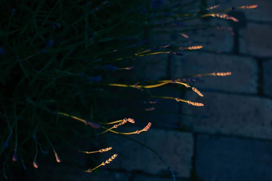 Automate Garden Lighting with Smart Sensors
