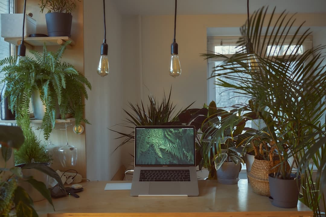 Photo Automate Garden Lighting with Smart Sensors