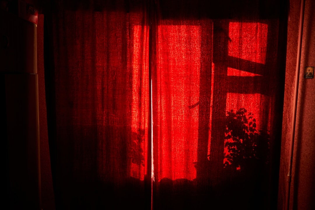 Photo DIY Smart Curtains