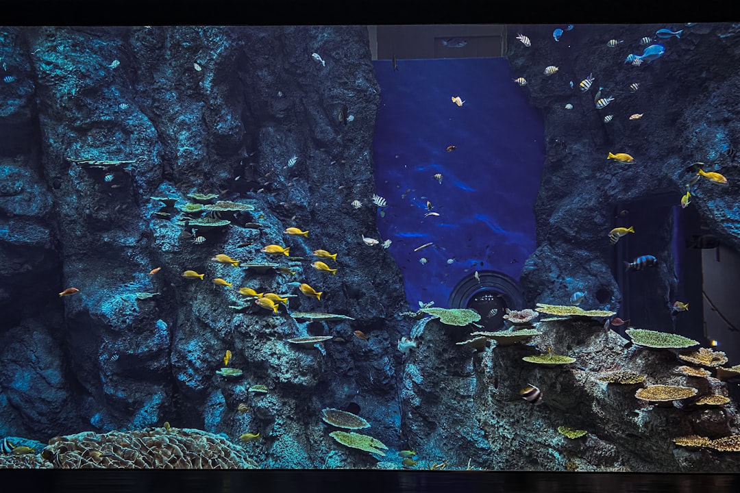 Photo Aquariumverzorging