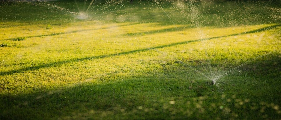 Photo DIY Smart Irrigation Systems